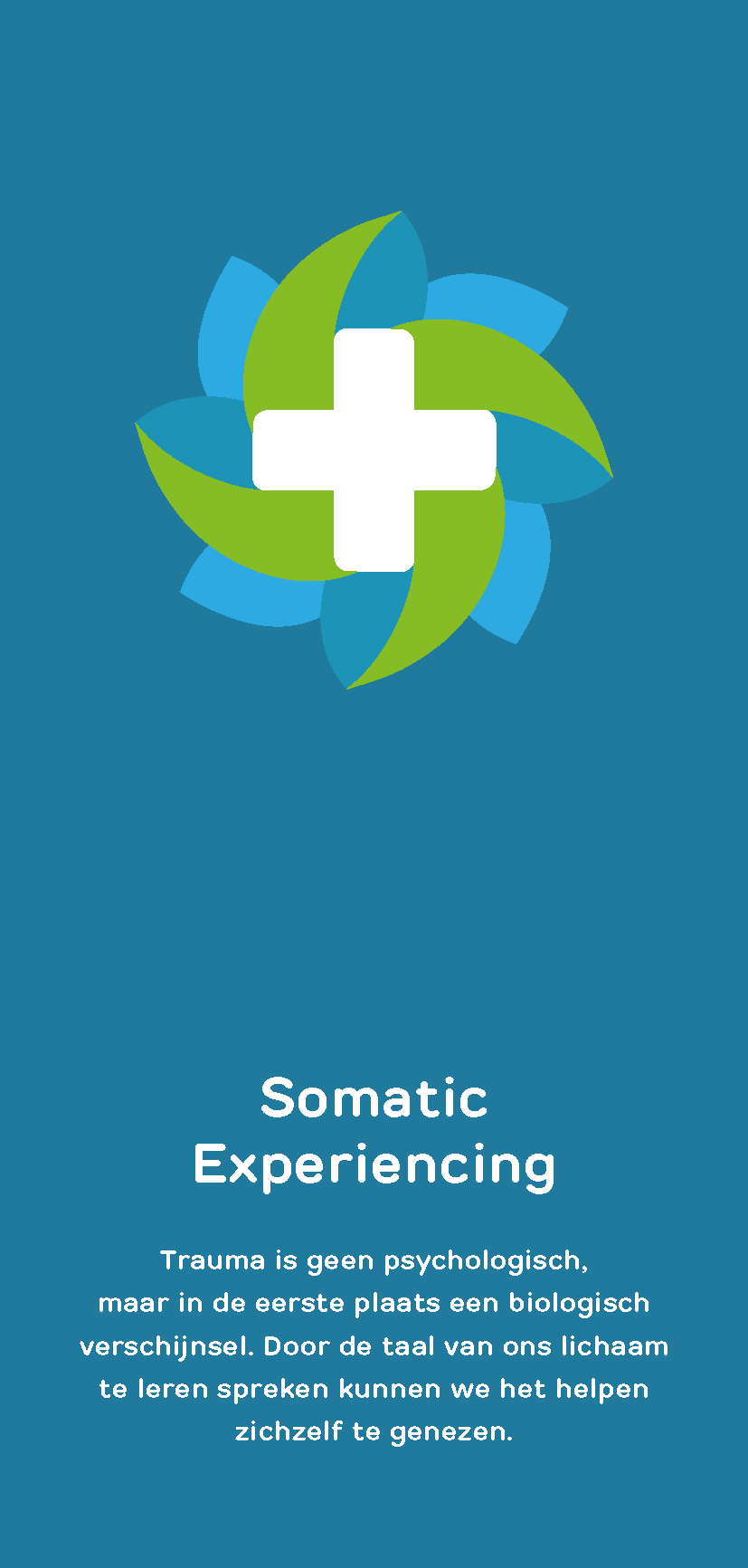 Flyer Somatic Experiencing